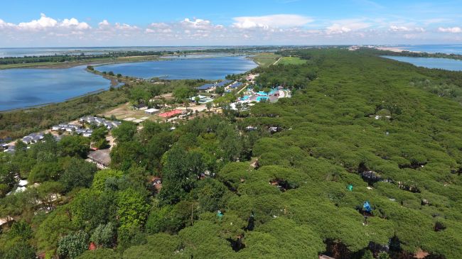 Veduta aerea di un'area verde con laghi e una struttura.