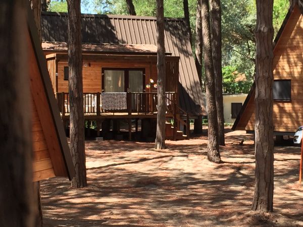Chalet in legno tra gli alberi.