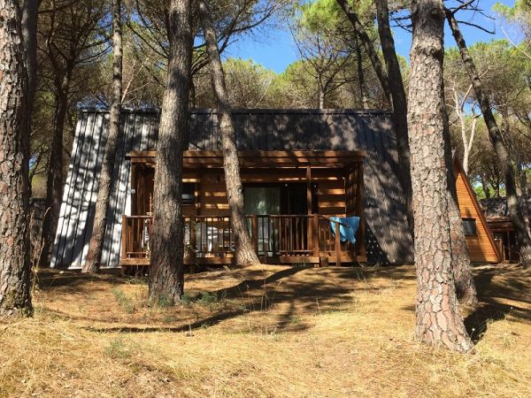 Una casa in legno tra alberi nel bosco.