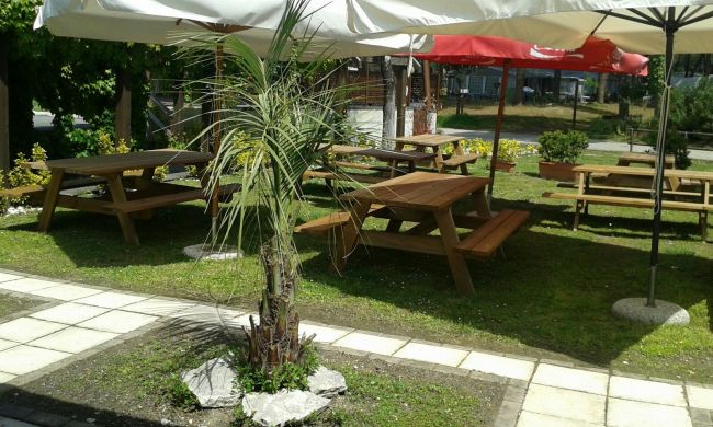 Tavoli da picnic in un giardino con ombrelloni.
