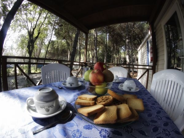 Colazione all'aperto con tazze e biscotti su tavolo apparecchiato.