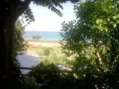 Vista sul mare attraverso alberi e fogliame.