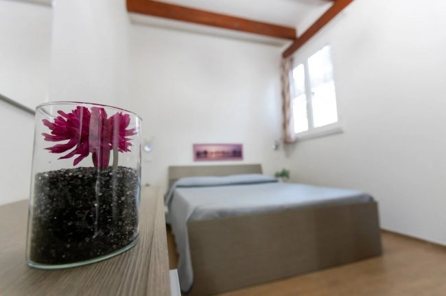 Camera minimalista con fiore in vaso.