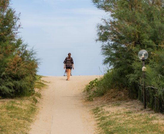 Persona che cammina verso una spiaggia sabbiosa, fiancheggiata da cespugli verdi.