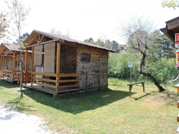 Una piccola cabina di legno con veranda immersa nel verde.
