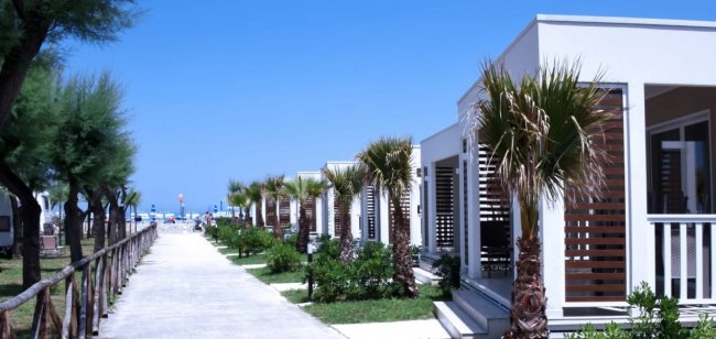 Bungalow moderni lungo un viale con palme.