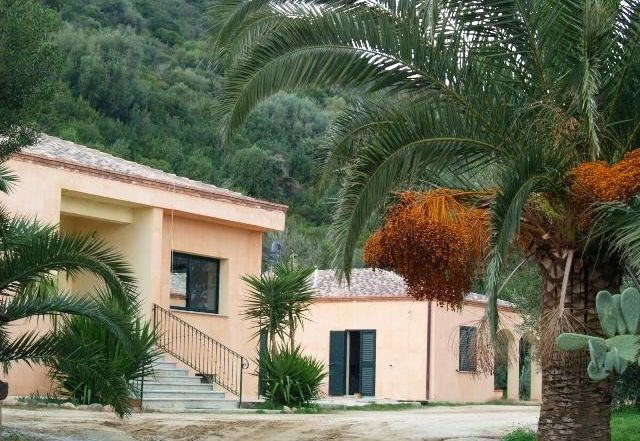 Casa color pesca con palme e vegetazione verde intorno.