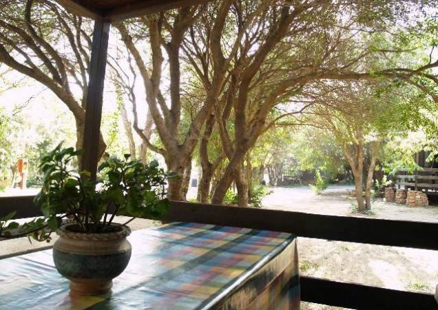 Tavolo con tovaglia a quadri e pianta in vaso su veranda con vista su alberi.