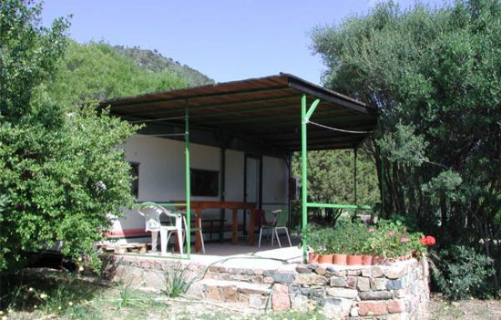 Casa con veranda in metallo verde, circondata da piante e fiori.