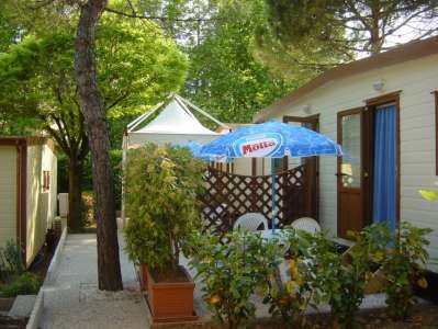 Casa mobile con patio arredato, ombrellone blu e bianco, circondata da piante verdi.