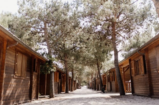 Stradina alberata tra casette di legno.