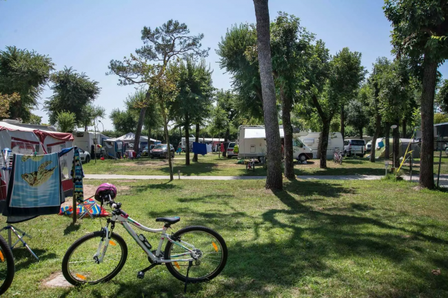Bicicletta in un campeggio verde con camper e roulotte.
